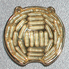 Model 2340N