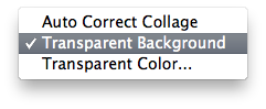 DiagramPhotoMenuTransparent