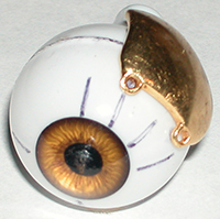 SCT_MarkSclera