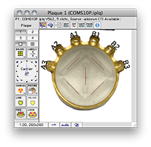 COMS10P