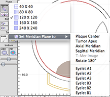 DoseMeridianPopUpMenus