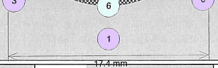 COE41ProtocolDiameter