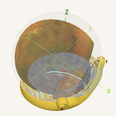 CiliaryMeridian