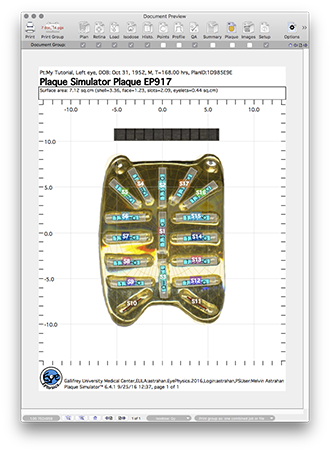 PlaquePicturePage2